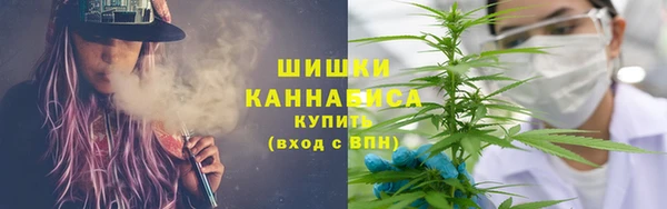 ГАЛЛЮЦИНОГЕННЫЕ ГРИБЫ Абинск