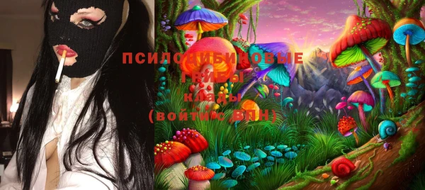 первитин Алексин