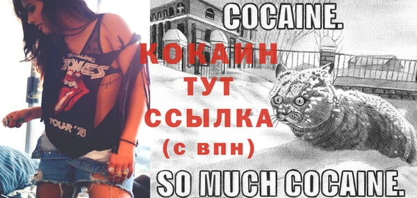 спайс Абаза