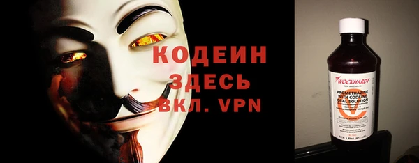 индика Гусь-Хрустальный