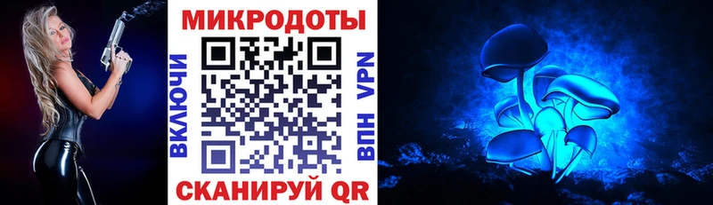 Псилоцибиновые грибы прущие грибы  Чишмы 